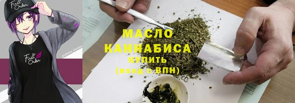 твердый Инта