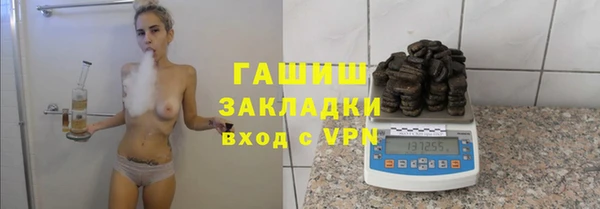 твердый Инта