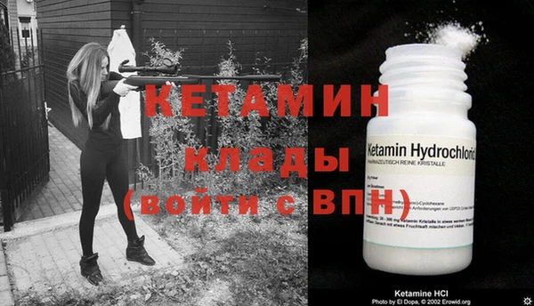 сатива Инсар