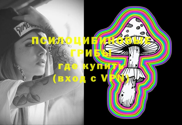 сатива Инсар