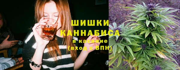 сатива Инсар