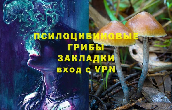 мяу мяу кристалл Иннополис