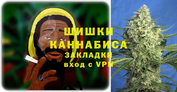 твердый Инта