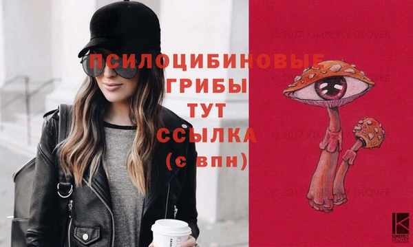 сатива Инсар