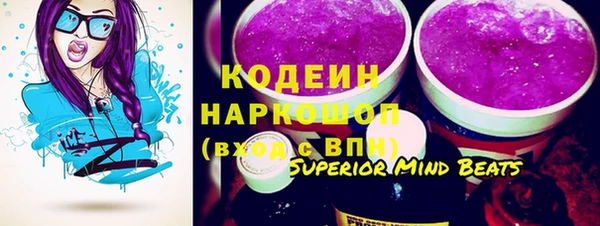 твердый Инта