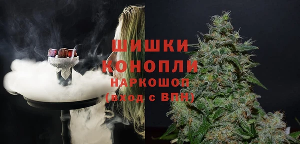 сатива Инсар